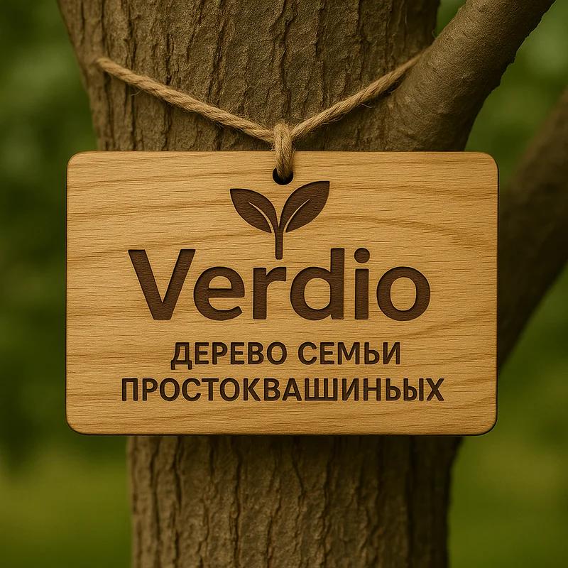 Семейный опыт с Verdio: занимайтесь садоводством с детьми без хлопот