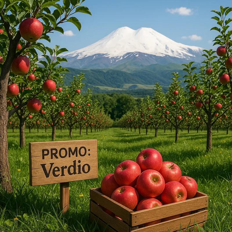 🌳 У тебя может быть своё дерево